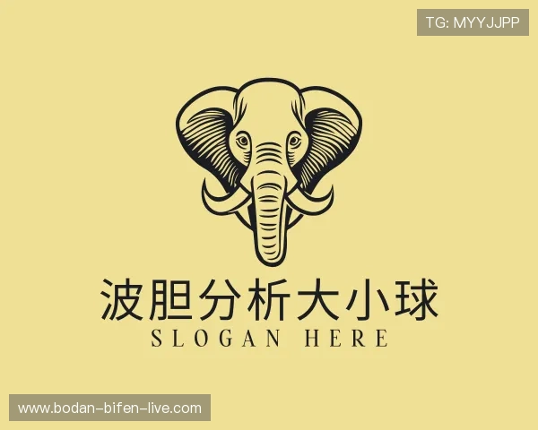 解读波胆赔率网站